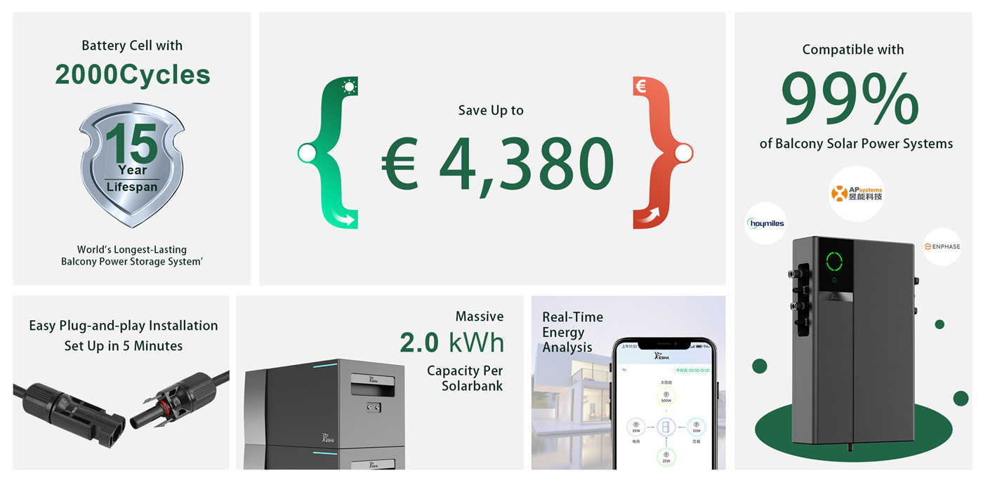 Micro Energy Storage System1